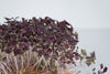 Ruba Leaf - Senf